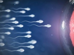 Znamenia, ktoré prezradia kvalitu vašich spermií